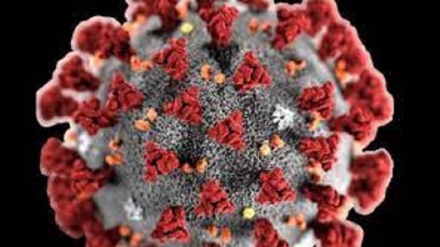 Pfizer: la pandemia non finirà prima del 2024