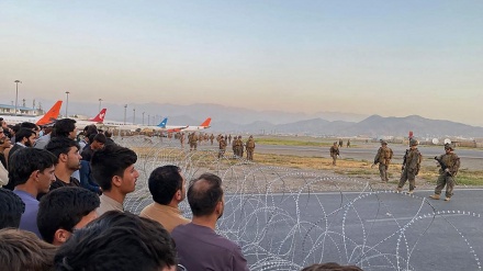واشنگتن اگزمینر: ۷۵ درصد پناهجویان افغان هنگام ورود به آمریکا بازرسی نشدند