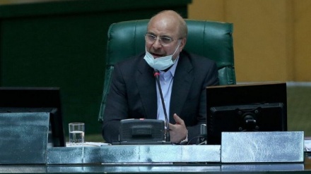 קליבאף : לא ניתן לממש את שלטון העם בלי תרומת העיתונאים