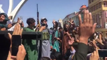 Толиблар биринчи дала маҳкамасини ташкил қилишди (Видео)