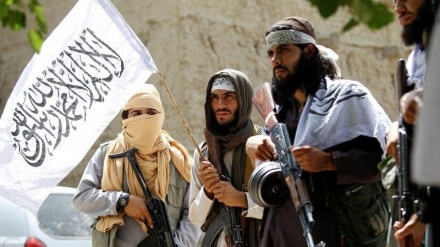塔利班和正义军恐怖组织发生冲突