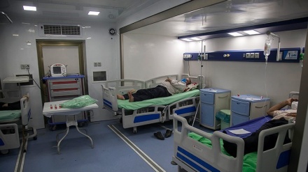 伊朗新冠肺炎死亡病例仍保持个位数