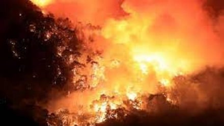 Algeria, sale a 65 il bilancio dei morti negli incendi