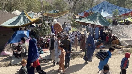 अफ़ग़ानिस्तान की बिगड़ती आर्थिक स्थिति से लाभ उठाना चाहता है अमरीकाः रिपोर्ट 