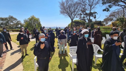 Марш Ашуры в Копенгагене, Дании и других странах мира 