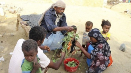 世界銀行、「イエメン市民の７割が飢餓に直面」