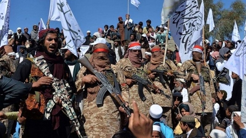 طالبان به مراکز پکتیا و پکتیکا وارد شدند