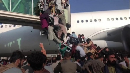 タリバン、「米は軍用機からのアフガン人落下に責任」