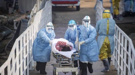 中国新型冠状病毒肺炎疫情最新情况