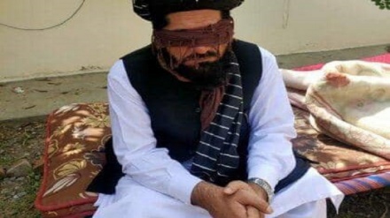 بازداشت رئیس سابق شورای علمای افغانستان توسط طالبان