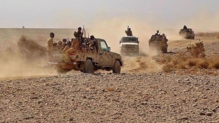 Yemen defense forces not far from recapturing whole Ma’rib: Reports