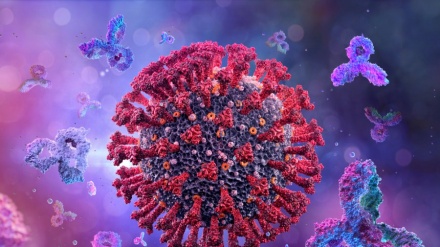 美国新冠疫情反弹严重