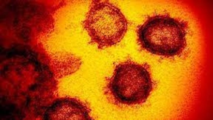 Covid, anticorpi sintetici contro le varianti 