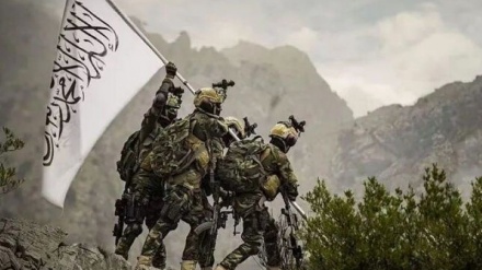 タリバンの米揶揄する写真に、米国内が激しく反応