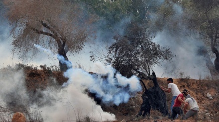 Dozens of Palestinians injured in Israeli regime crackdown on protests