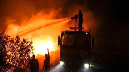 土耳其野火7天烧35省 