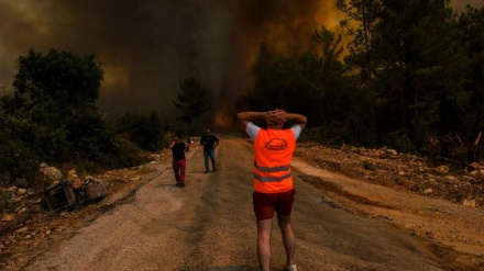 خسارت های آتش سوزی جنگل های ترکیه 