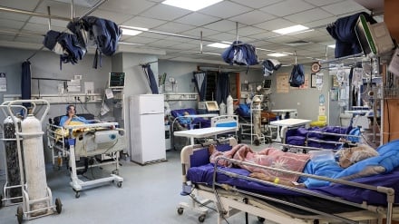 Qilonədə Koronavirusi noxəşon kam bey dəvom kardeydə.