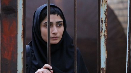 Artisti iranian mori çmimin e jashtëzakonshëm të festivalit amerikan të filmit