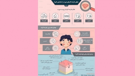 Читавр оризаи экземаи суратро шиносоӣ кунем?