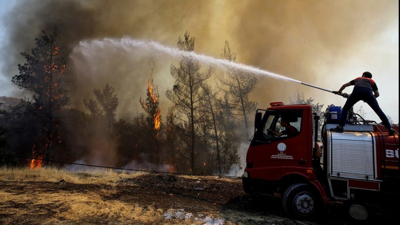 Турция отклонила помощь сионистов в тушении  лесных пожаров 