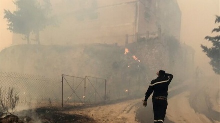 אלג'יריה: 42 חיילים נהרגו בשריפות סמוך לעיר הבירה