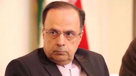 Violence, torture used against Iranian citizen in Swedish jail: Ambassador