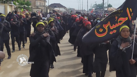 Nigerians mark Ashura