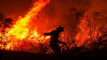 تخلیه اضطراری مناطقی از یونان به دلیل آتش سوزی