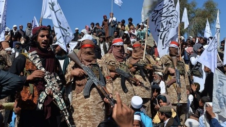 塔利班军事运动对该地区国际经济的影响