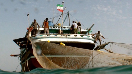 伊朗拥有西印度洋最大的捕鱼船队