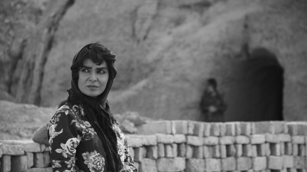 伊朗电影参加波兰国际电影节