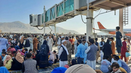 هالیوود عملیات خروج امریکا از کابل را روی پرده سینما می‌برد