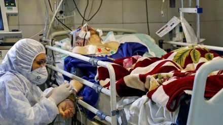 在过去24小时内，487名伊朗人染疫身亡