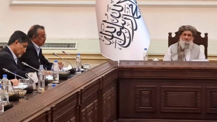 Kreu i Organizatës Botërore të Shëndetit u takua me kreun e qeverisë talebane në Kabul