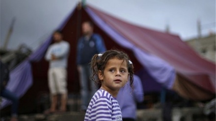 赤十字、「ガザの子どもたちは絶えない恐怖の中で暮らす」
