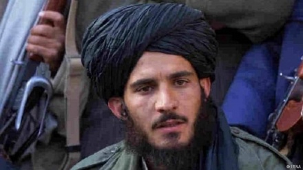  هشدار سرپرست وزارت دفاع طالبان به نیروهای تحت امرش 