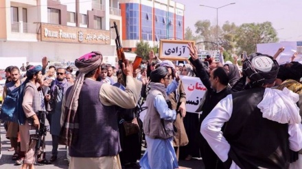 Taliban response to Afghan protests ‘increasingly violent’: UN