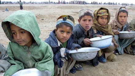 WFPが、アフガンでの飢餓増大に警鐘