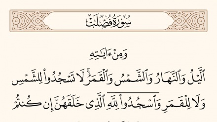 نهج الحياة – 893