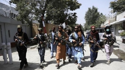درگیری نیروهای طالبان و جبهه مقاومت ملی افغانستان در پنجشیر