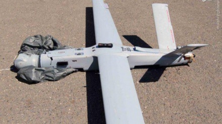 Pemuda Palestina Tembak Jatuh Drone Militer Israel