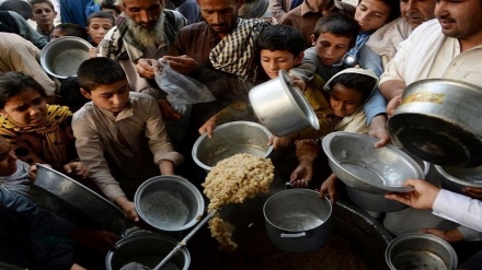 هشدار سازمان جهانی غذا درباره بروز قحطی در افغانستان