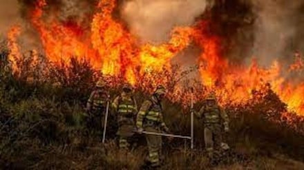 Spagna: rogo in Andalusia ha bruciato più di 2.100 ettari