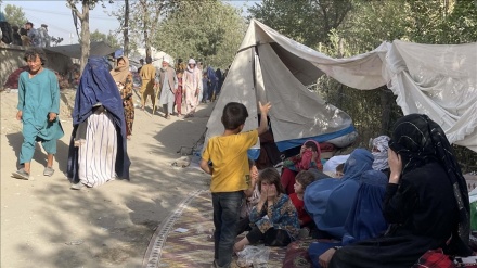アフガン難民５００万人に緊急支援が必要