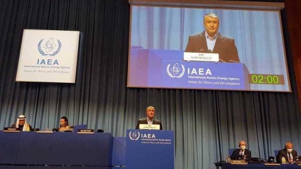 IAEA needs to maintain independence, impartiality, avoid political moves: Iran nuclear chief