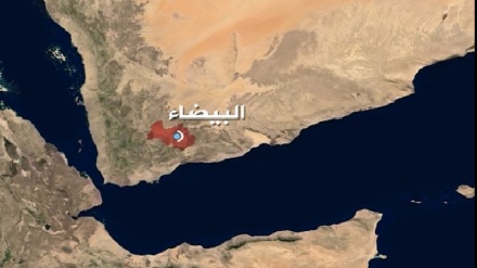 也门发现沙特联军支持的塔克菲里分子制造炸弹作坊