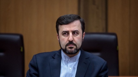 ראש סוכנות הגרעין האיראנית נועד עם מנכ''ל הסבא
