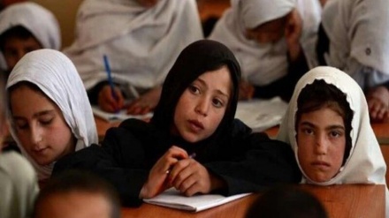 Taliban Akui Beda Pandangan dengan Komunitas Internasional dalam Isu Perempuan