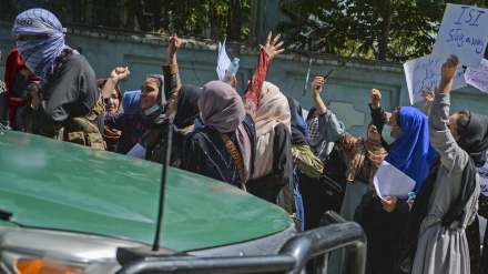 Taliban fire gunshots to disperse protest outside Pakistan embassy in Kabul